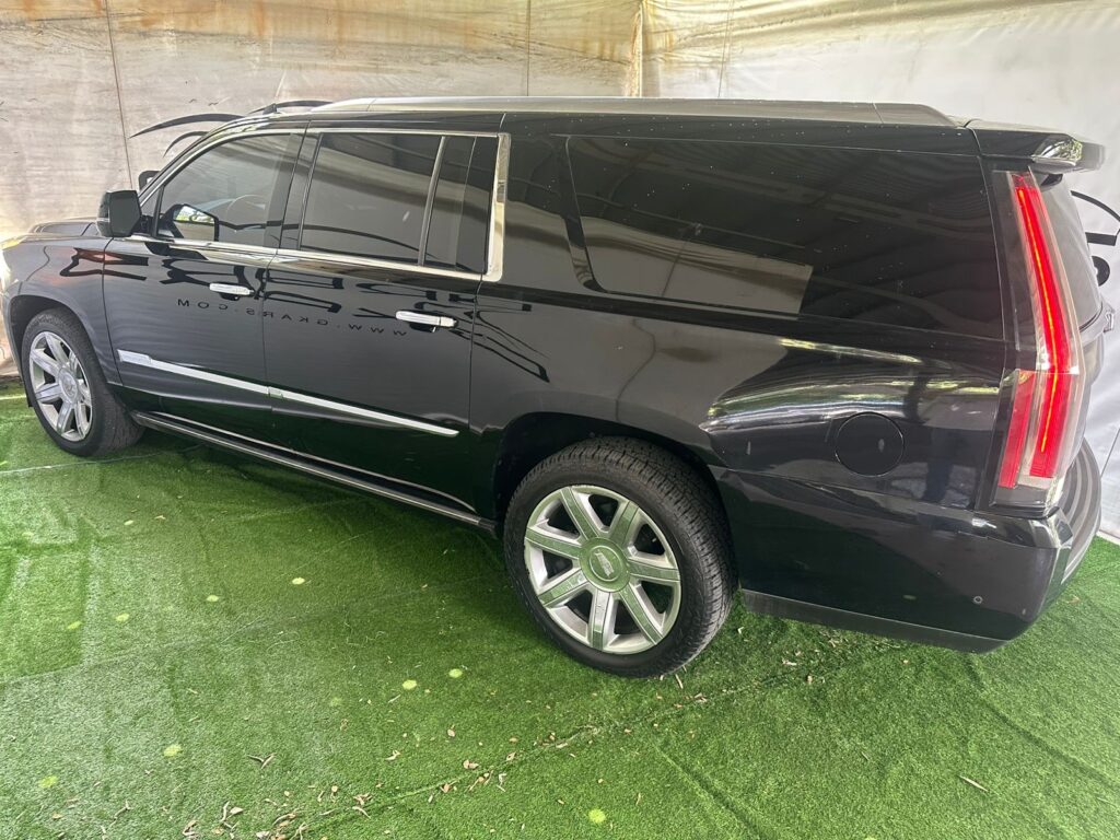 b57b384c-c342-4fab-a5f6-80f2789b4a43